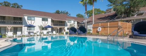 Pet Friendly Apartments In Gainesville Fl